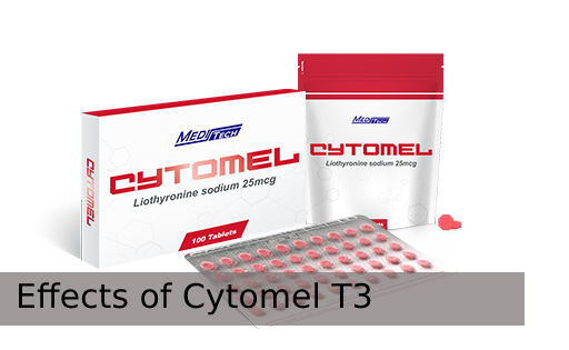Effects of Cytomel T3