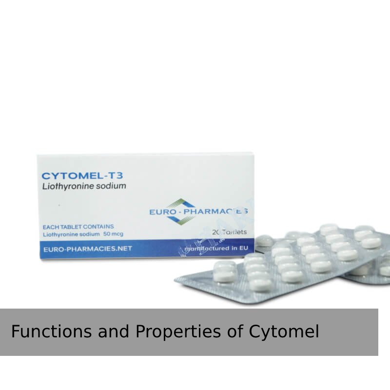 Functions and Properties of Cytomel: