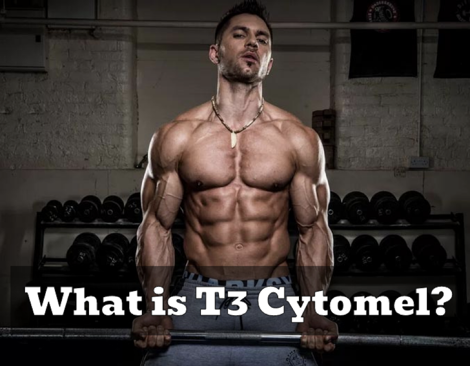 Results and Benefits of Cytomel T3